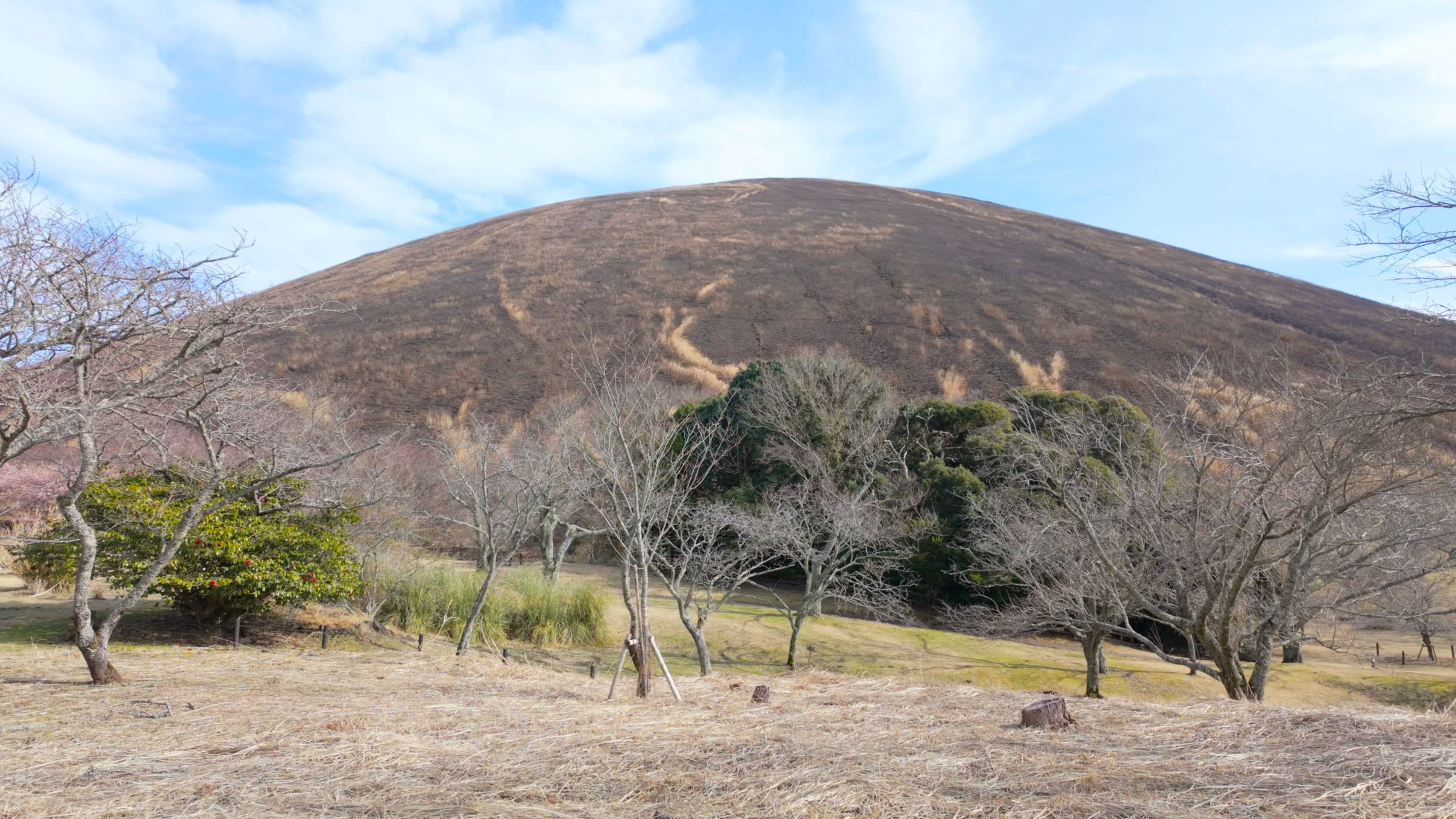 Der Mount Ōmuro ist ein Naturdenkmal der Izu-Halbinsel.