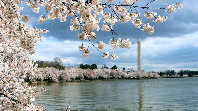 Japan in Washington