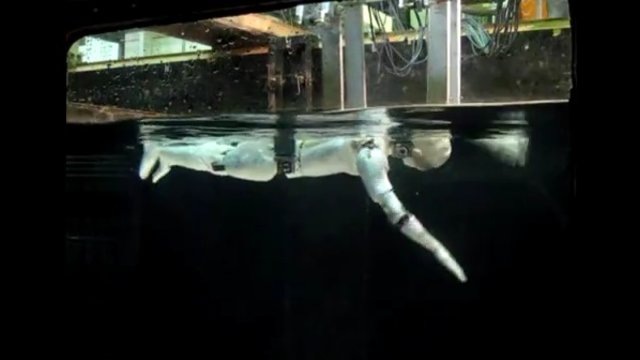 Der schwimmende Roboter