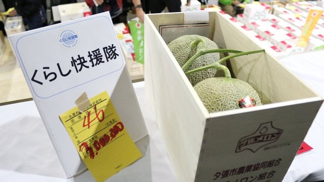 Japans teuerste Melonen