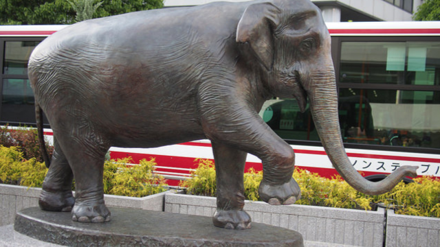 Japan ehrt einen Elefanten