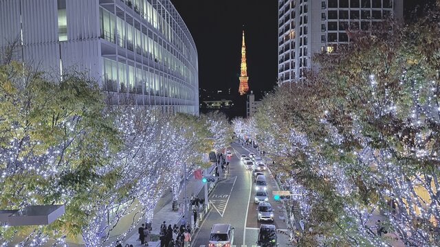 Weihnachtlicher Lichtzauber in Tokio