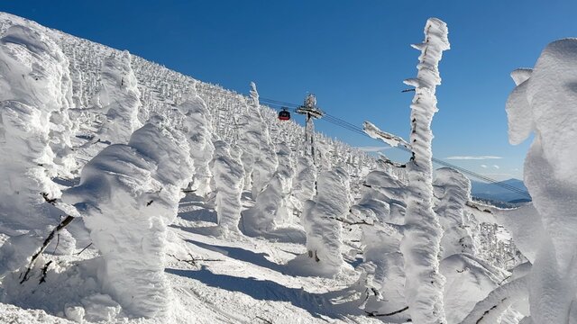 Japans Schneemonster: Skifahren in Zaō-Onsen