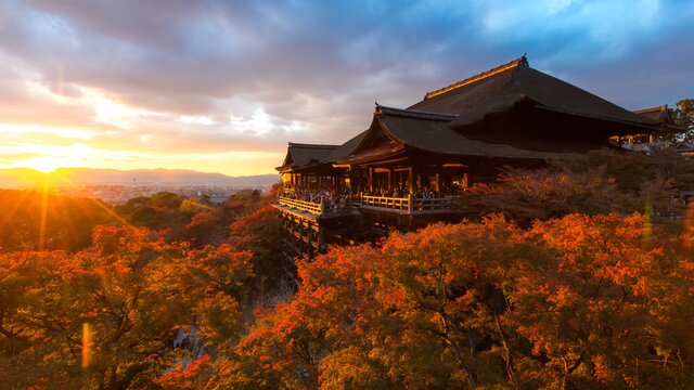 Die Zeit der Herbstfarben in Japan: Eine Prognose
