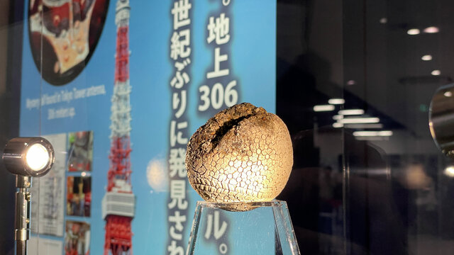 Der rätselhafte Ball des Tokyo Tower