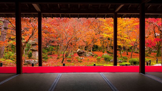 Die schönsten Herbstfarben in Kyoto entdecken
