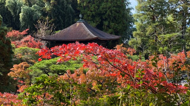 Die Herbstfarben von Kyoto